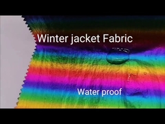 Foiled 70DX70D 100 Nylon Fabric 49gsm For Winter Jacket